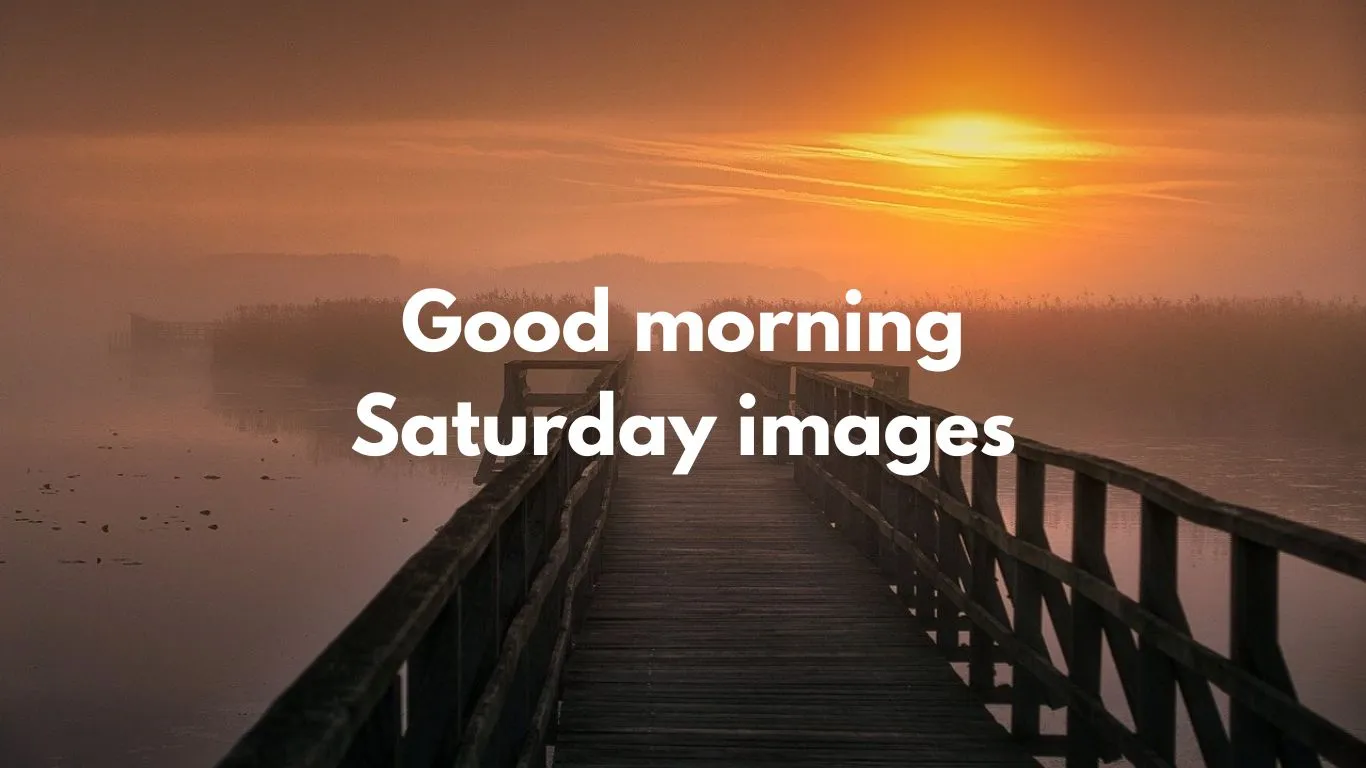 Good morning Saturday images good morning tuesday images