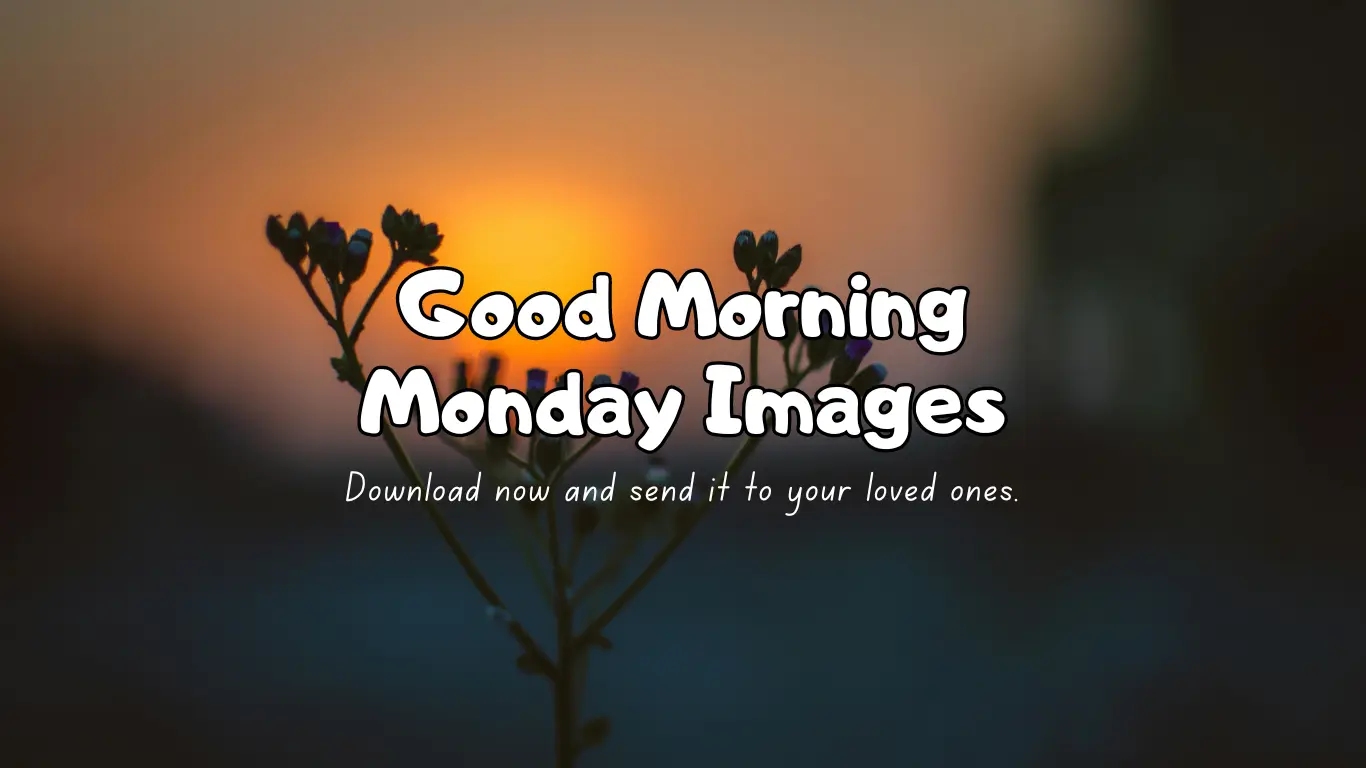 Good Morning monday Images