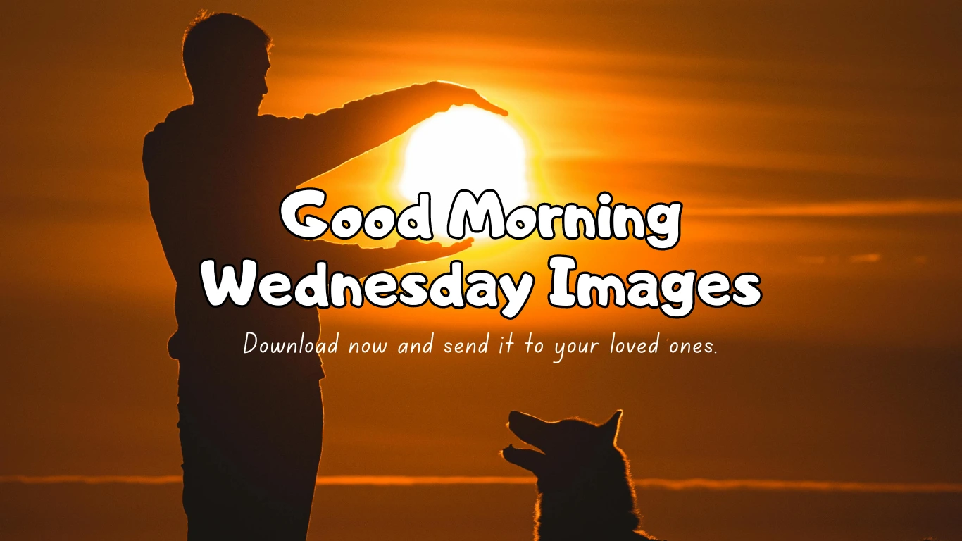 Beautiful Good Morning Wednesday Images to Brighten Your Day